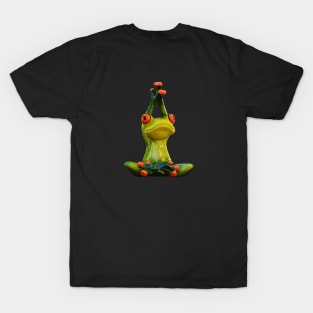 Yoga Frog - Sukhasana Pose T-Shirt